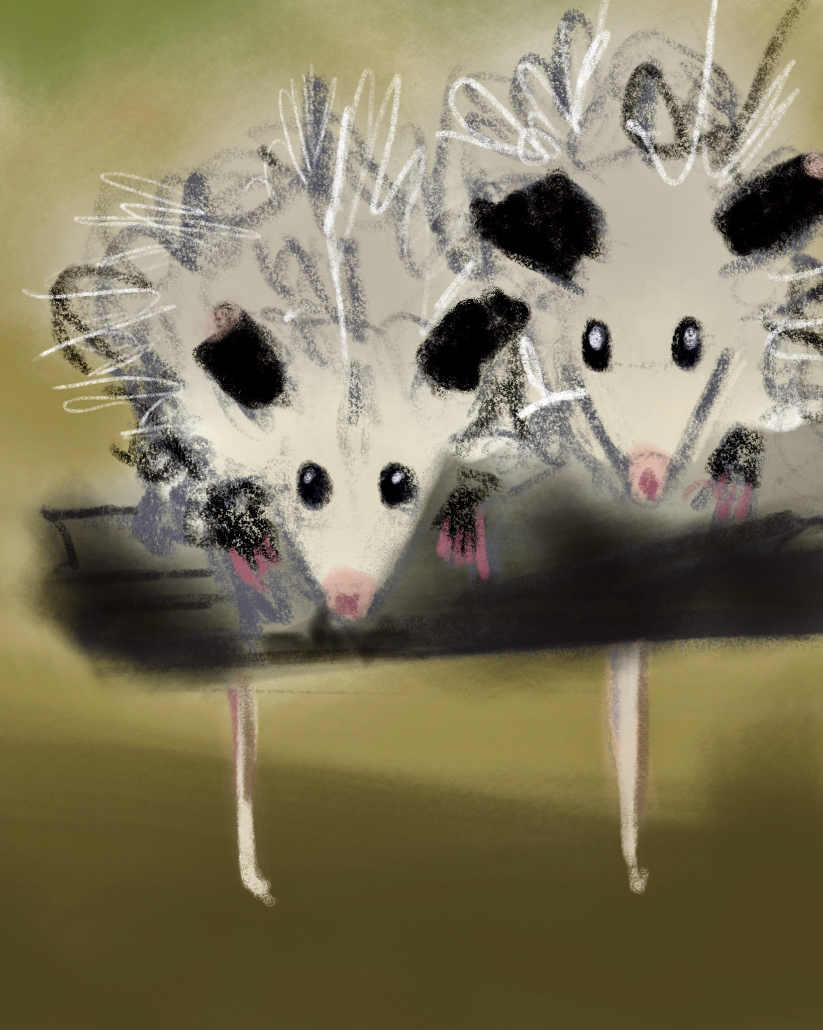 evening-sketch.