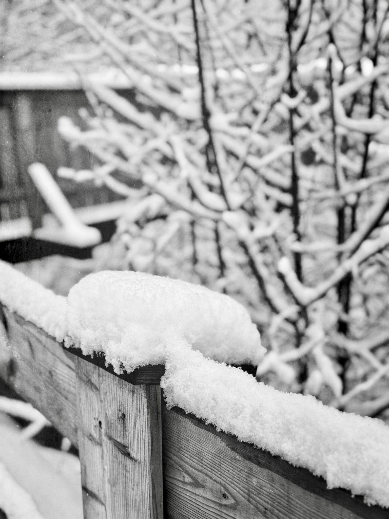 fresh snow