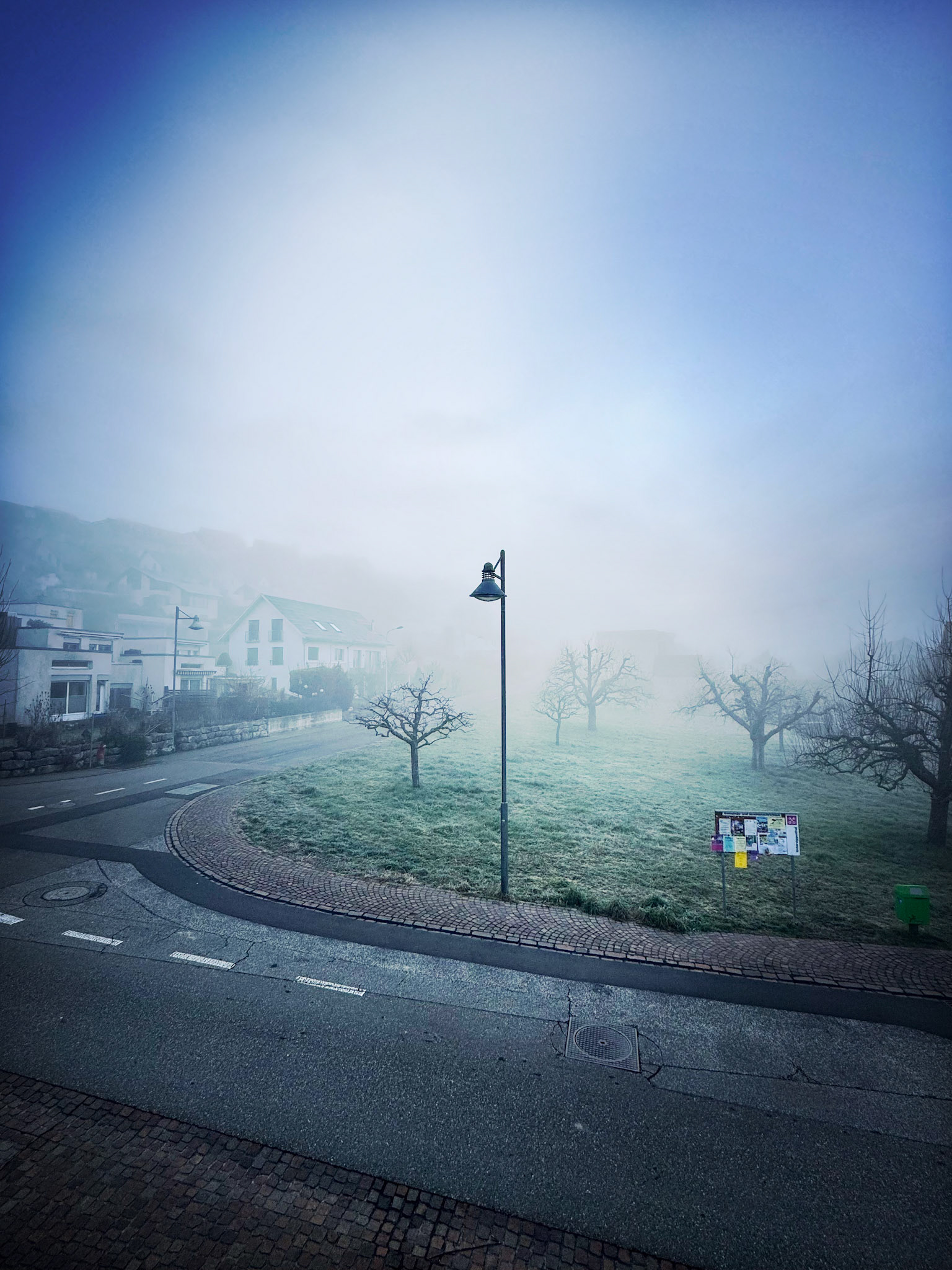 a normal morning in November...