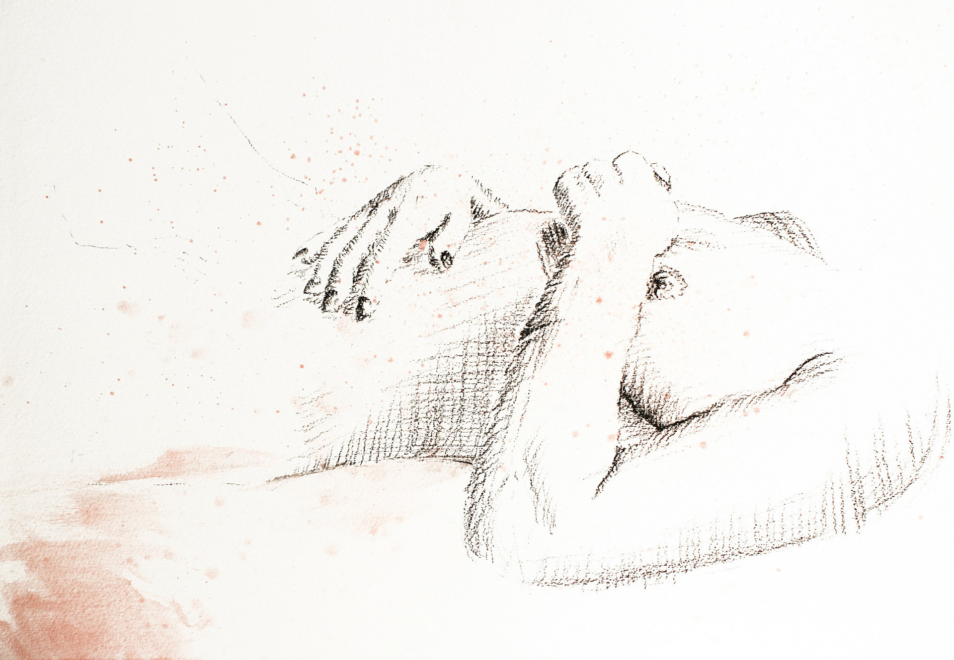 Sketch 3
