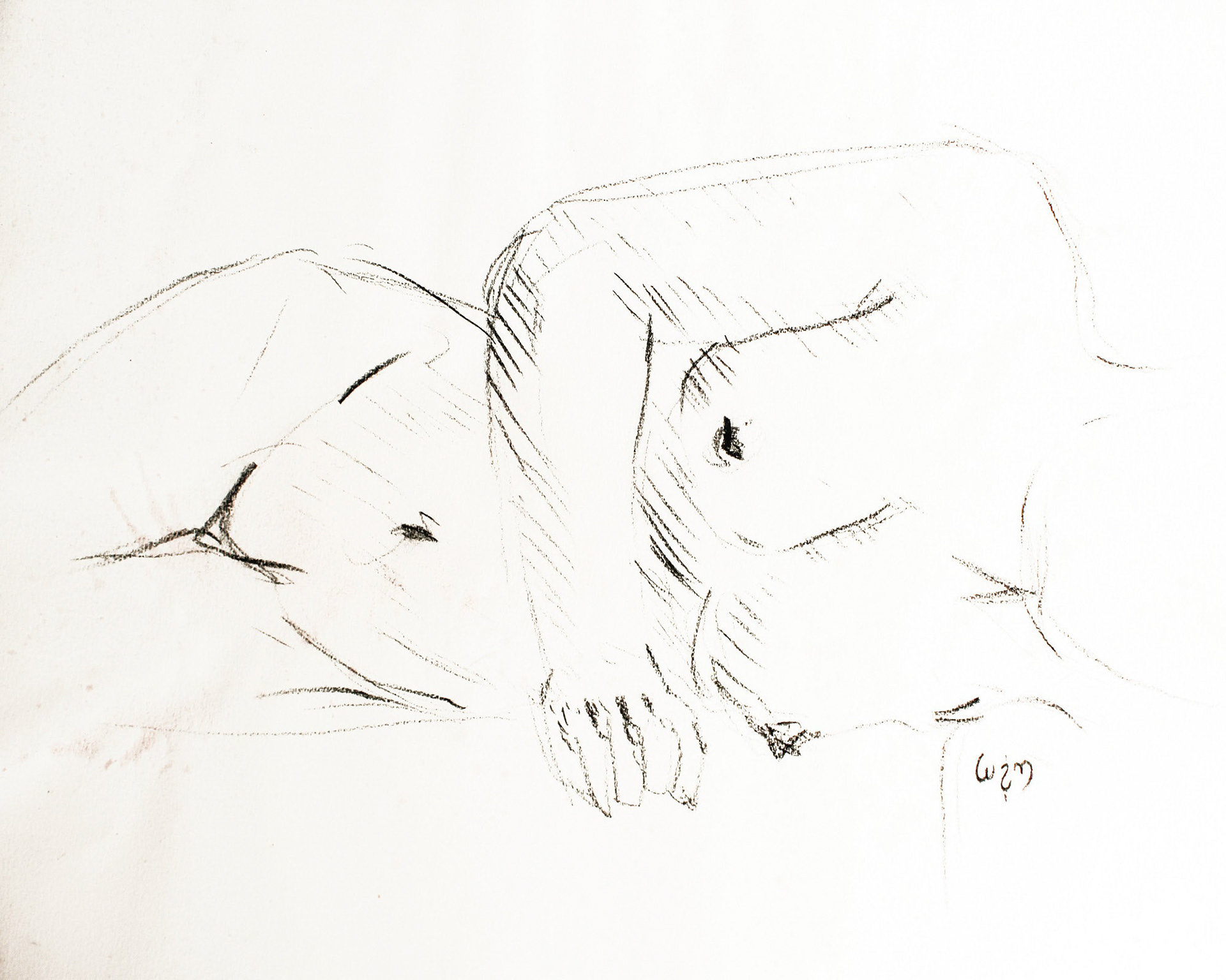 Sketch 2'