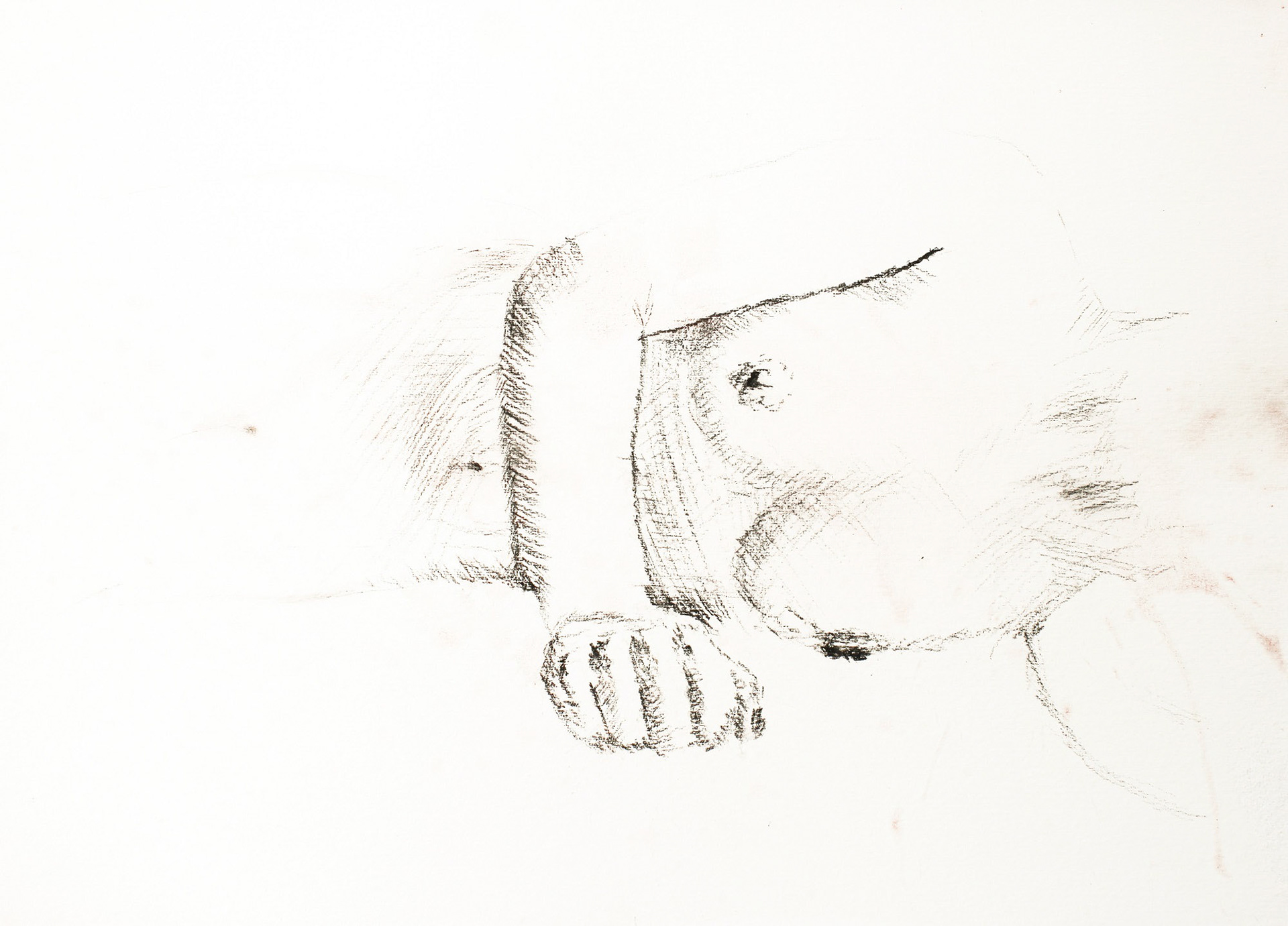 Sketch 2