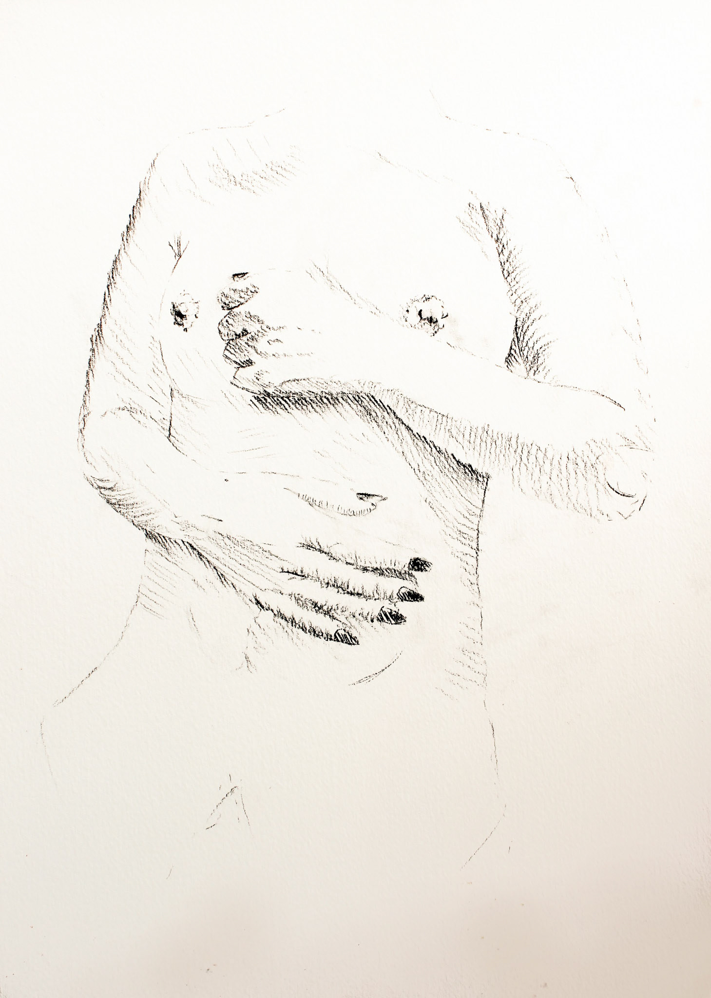 Sketch 1