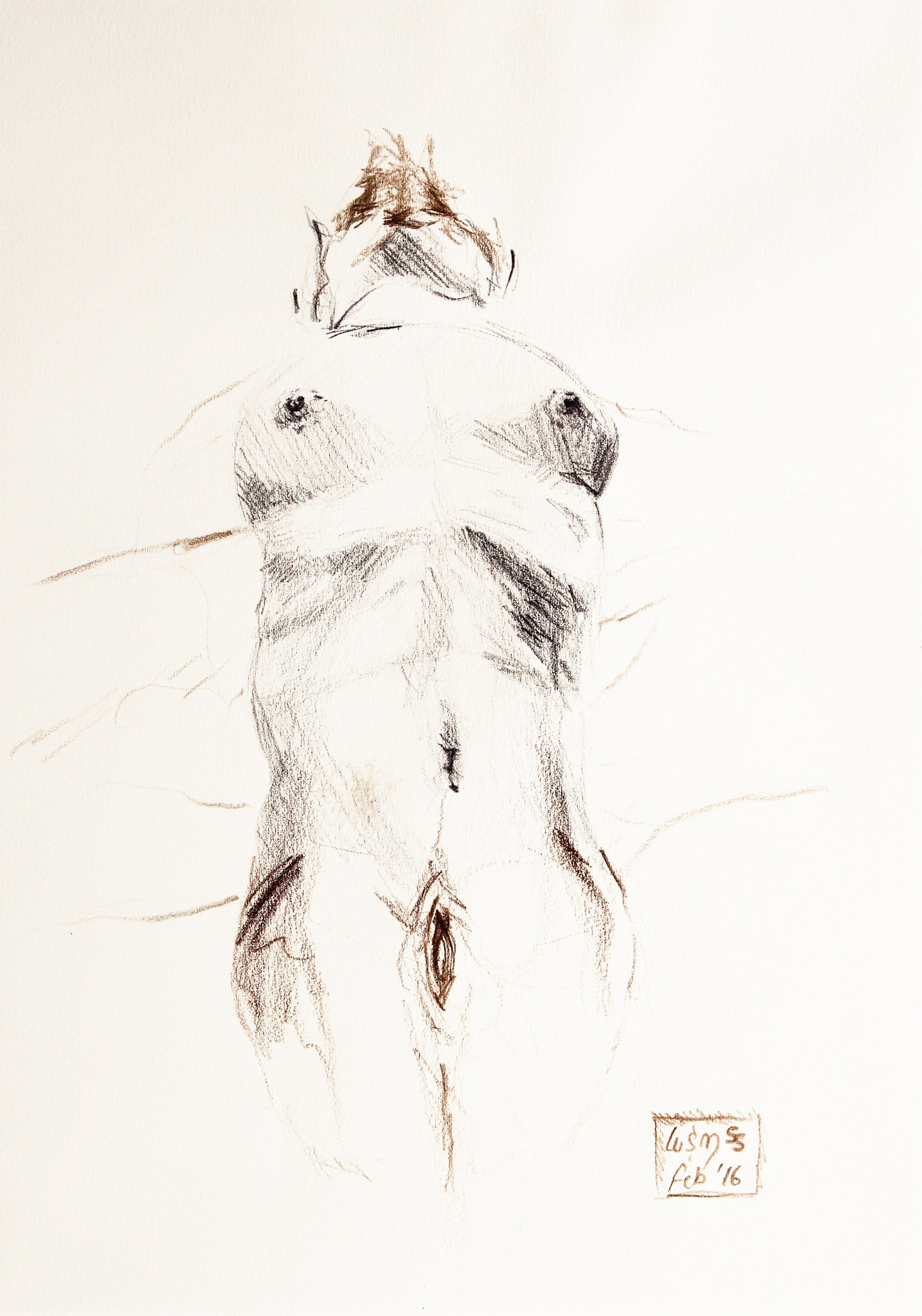 Study 21