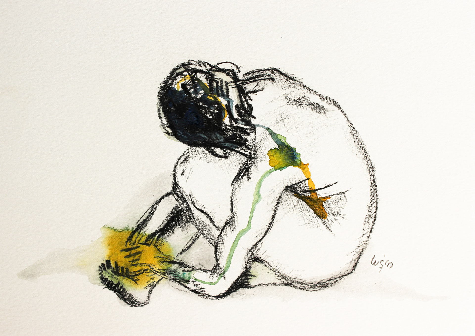 Study 23