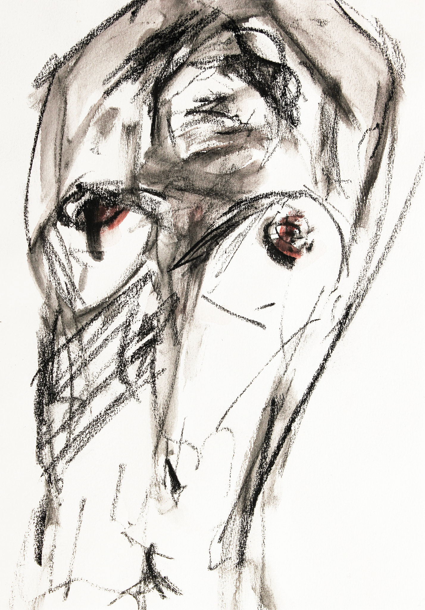 Study 25