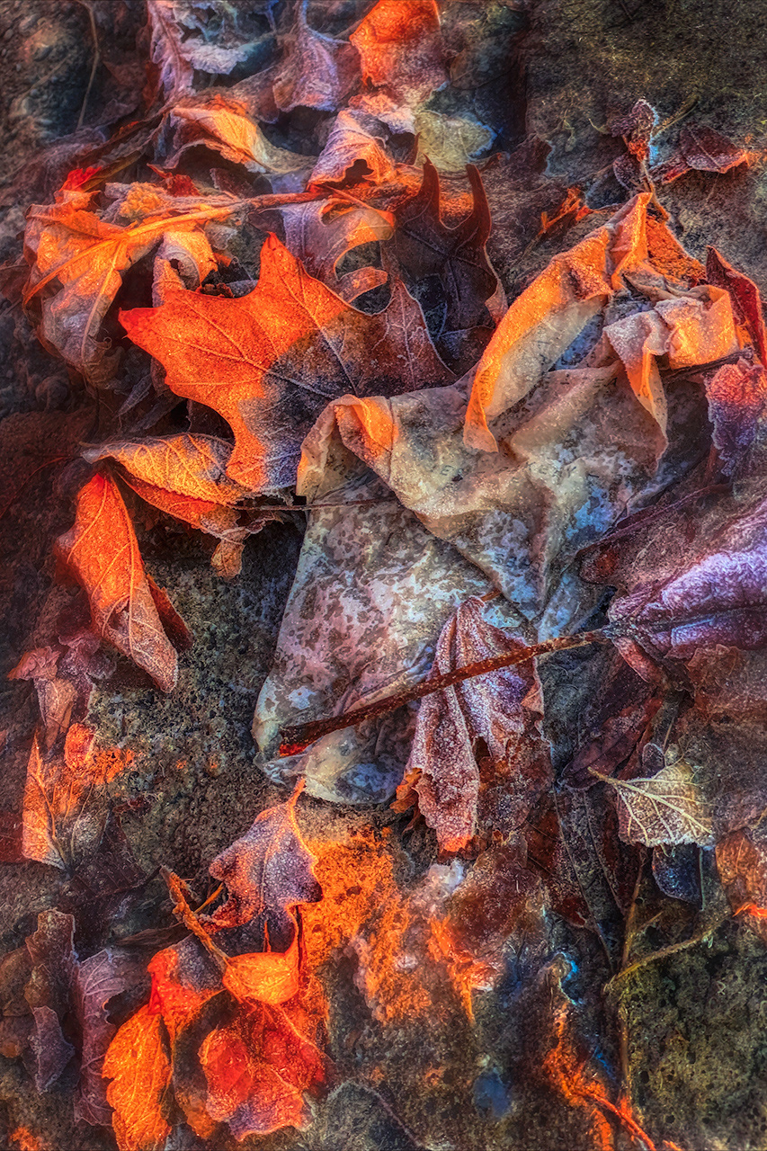 Debris