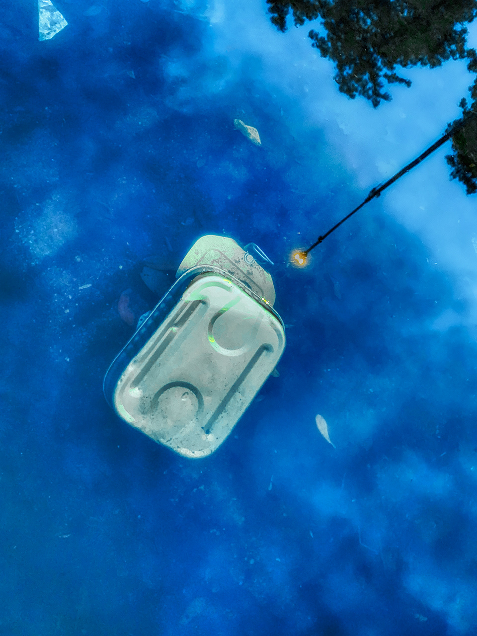 Packed Like Sardines