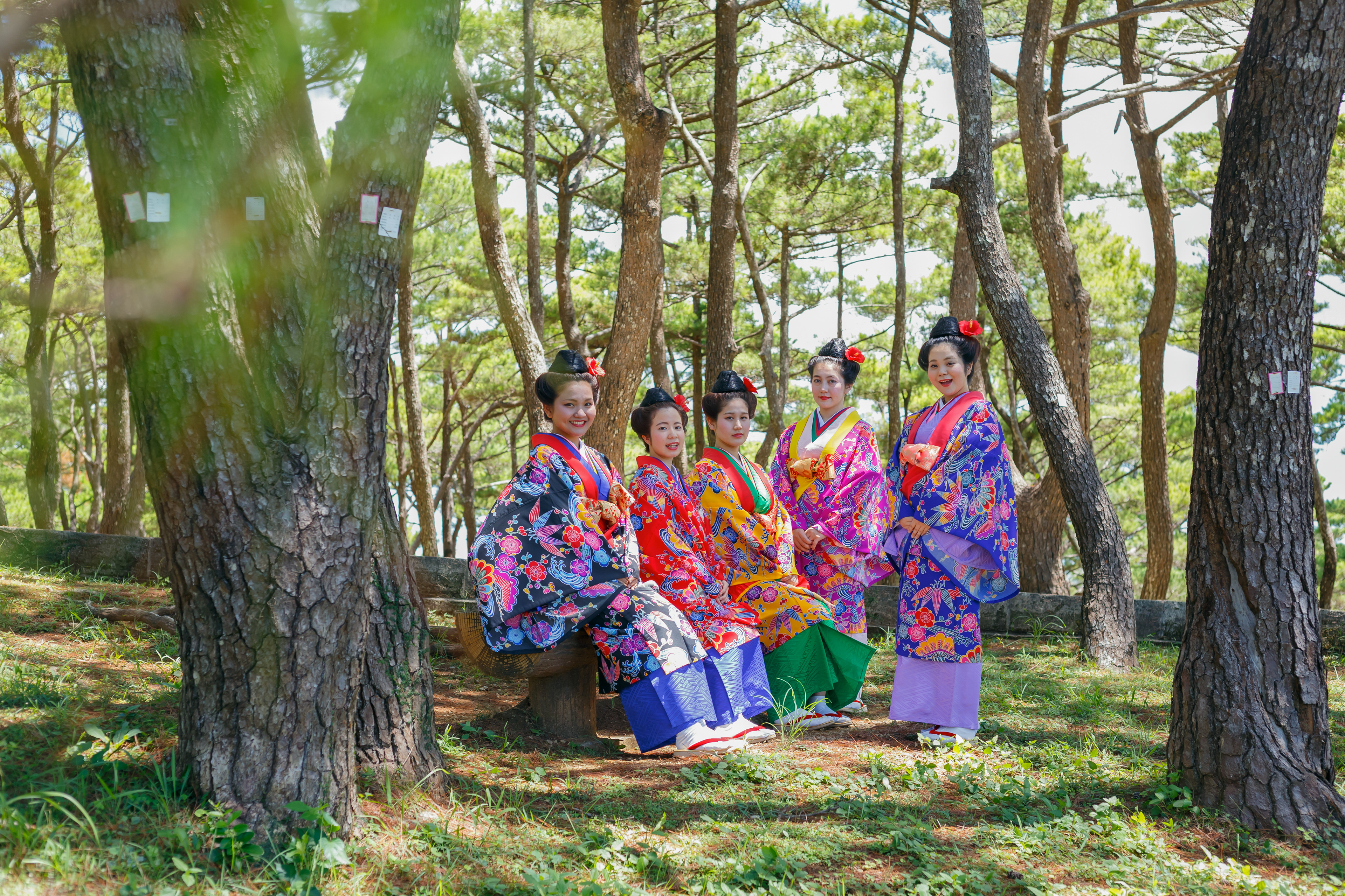 成人記念/琉装Wing