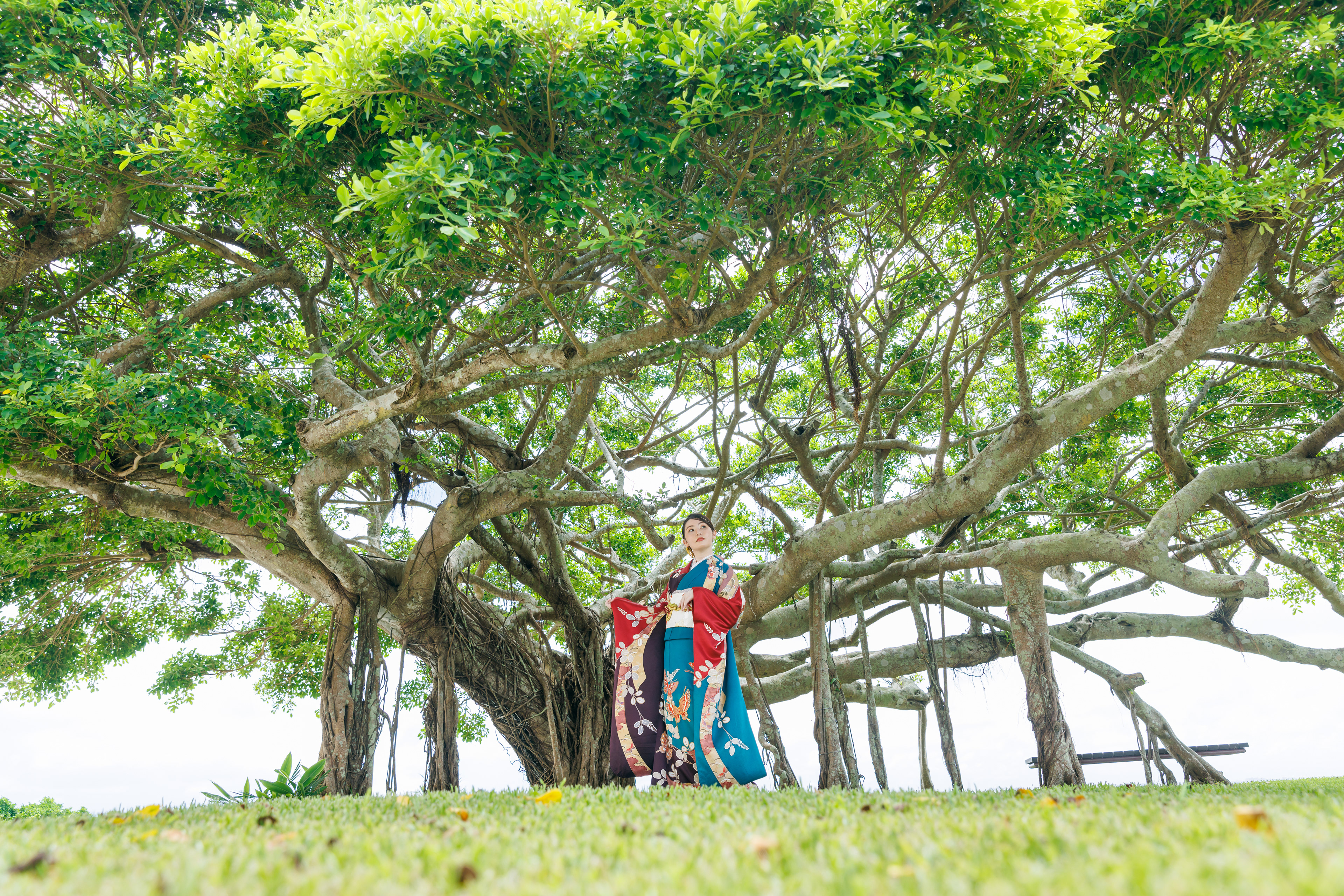 成人式前撮り/キモノバナ