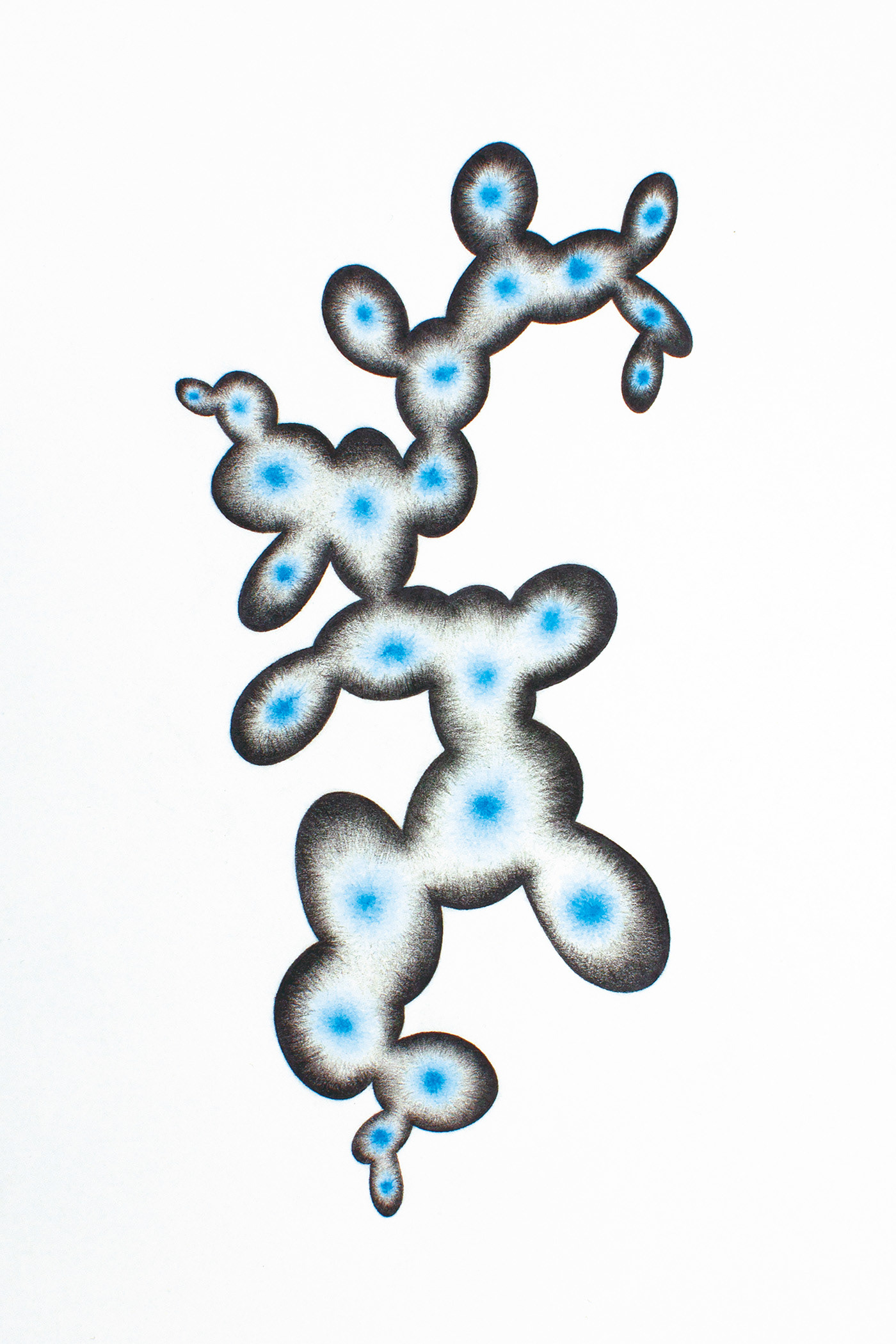 Blue Moon 5. Graphite and coloured pencil on paper, 35 x 25 cm.