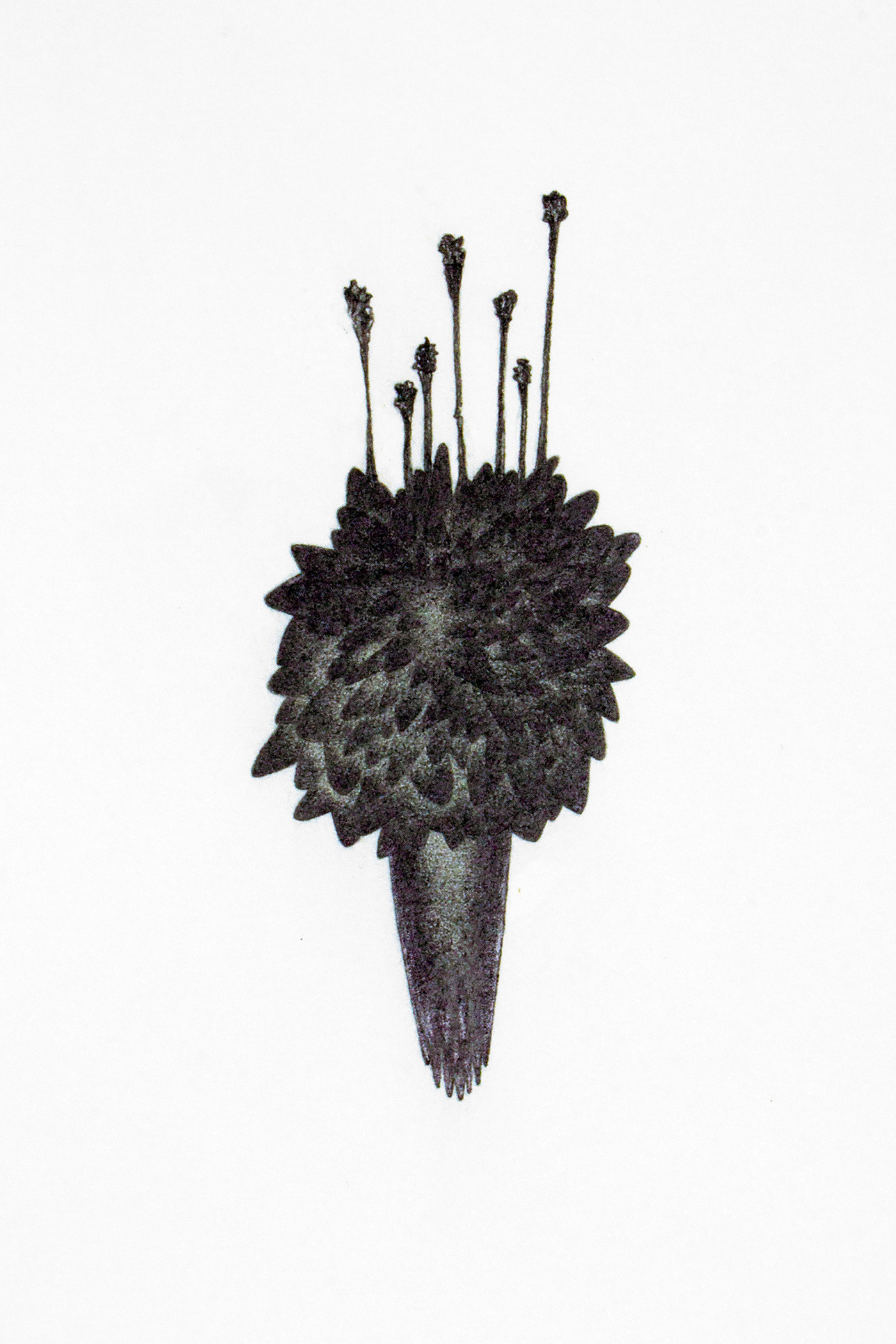 Levitation 8, graphite on paper, 30 x 21 cm.