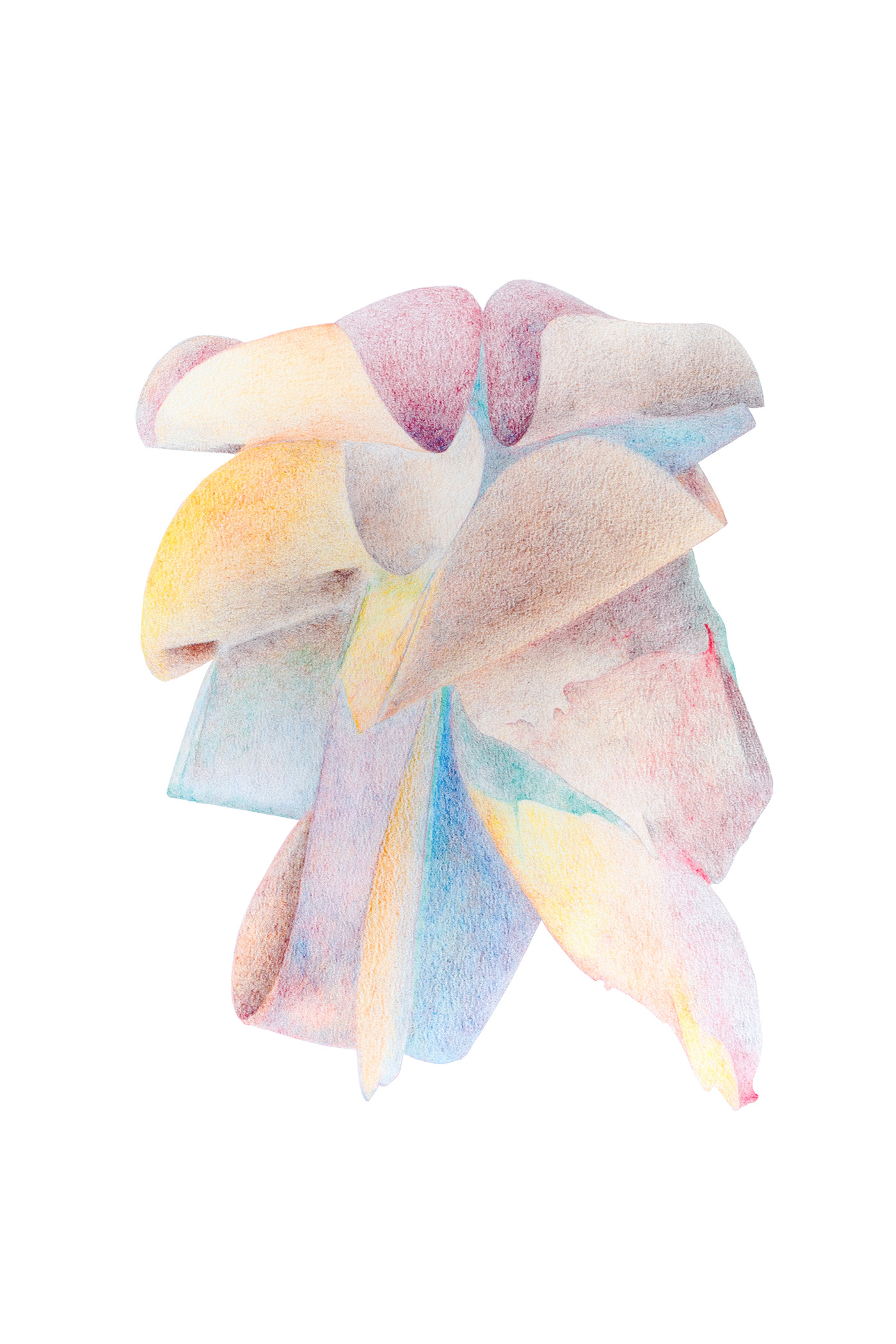 Into Colour and Motion 1, coloured pencil and paper, 45 x 35 cm.