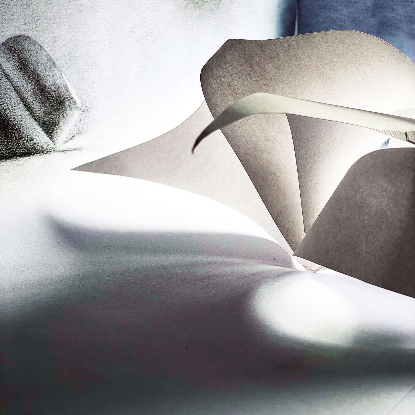 Doppelgangers, a series of drawings and sculptures made of paper for the Upscale Gallery.
