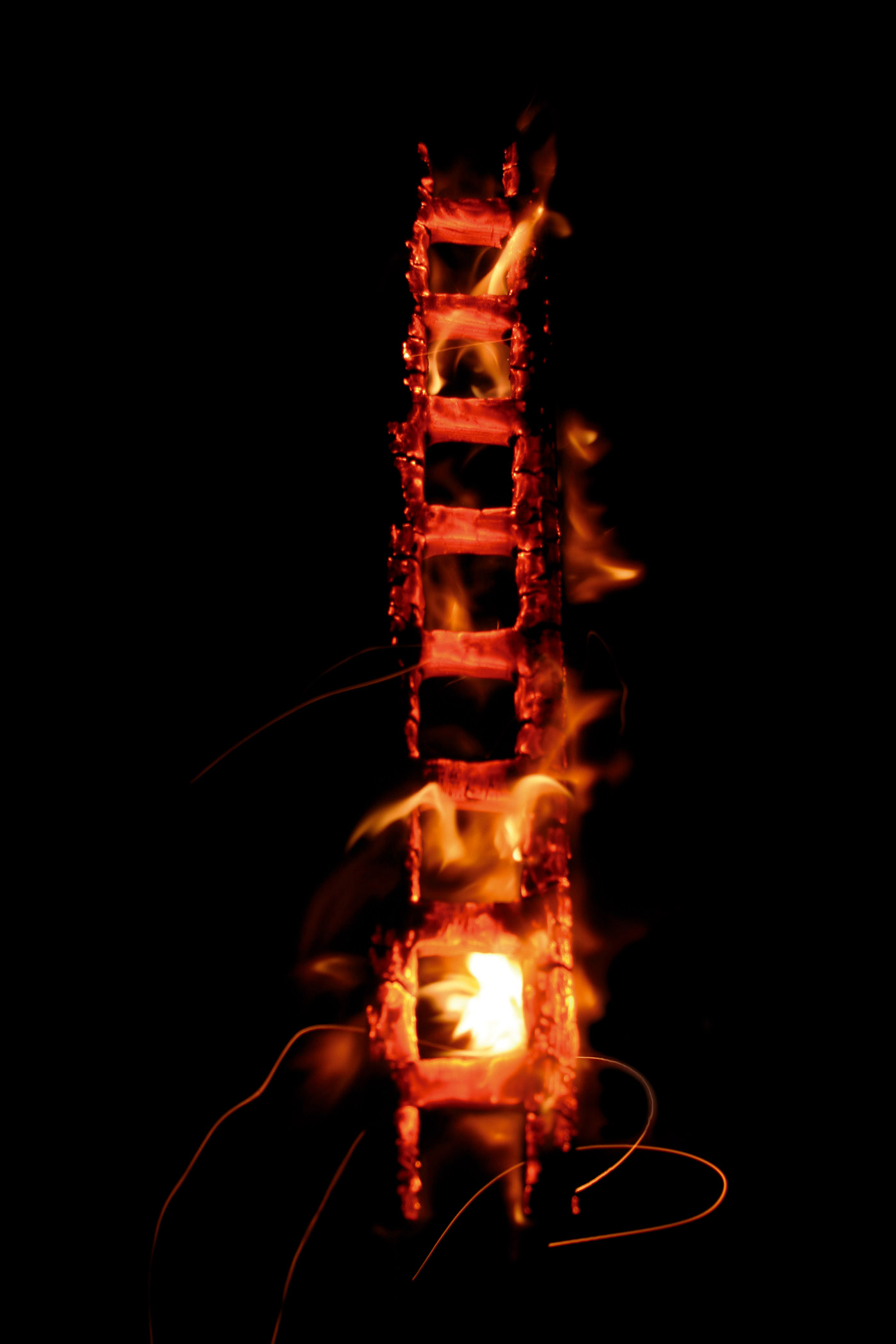 Ladder. Photograph, 60 x 40 cm.