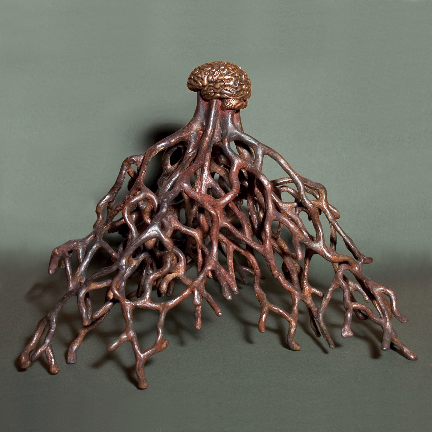 Rhizome, bronze, 30 x 40 x 45 cm.