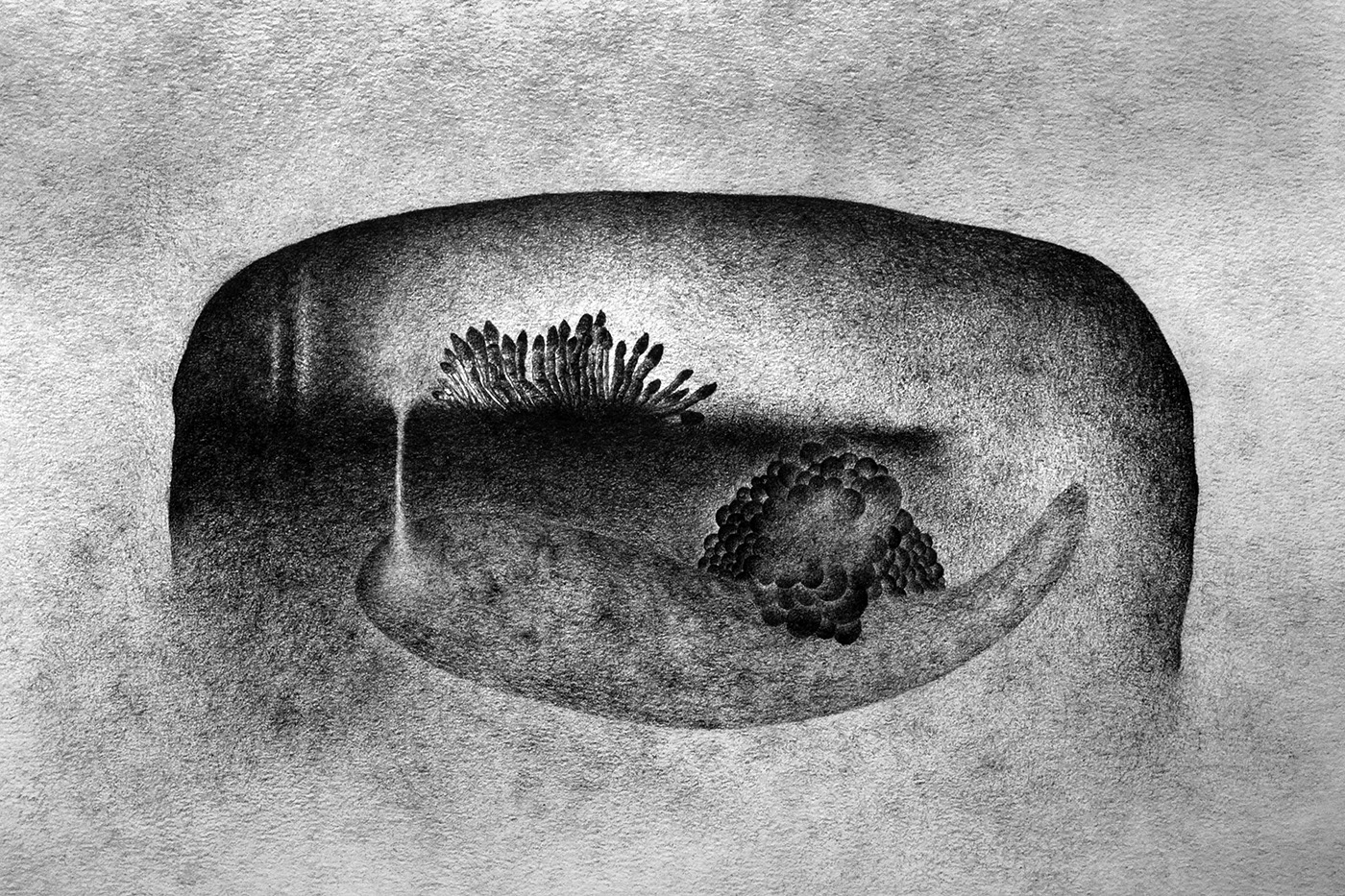 Imaginarium 4, graphite on paper, 27 x 42 cm.