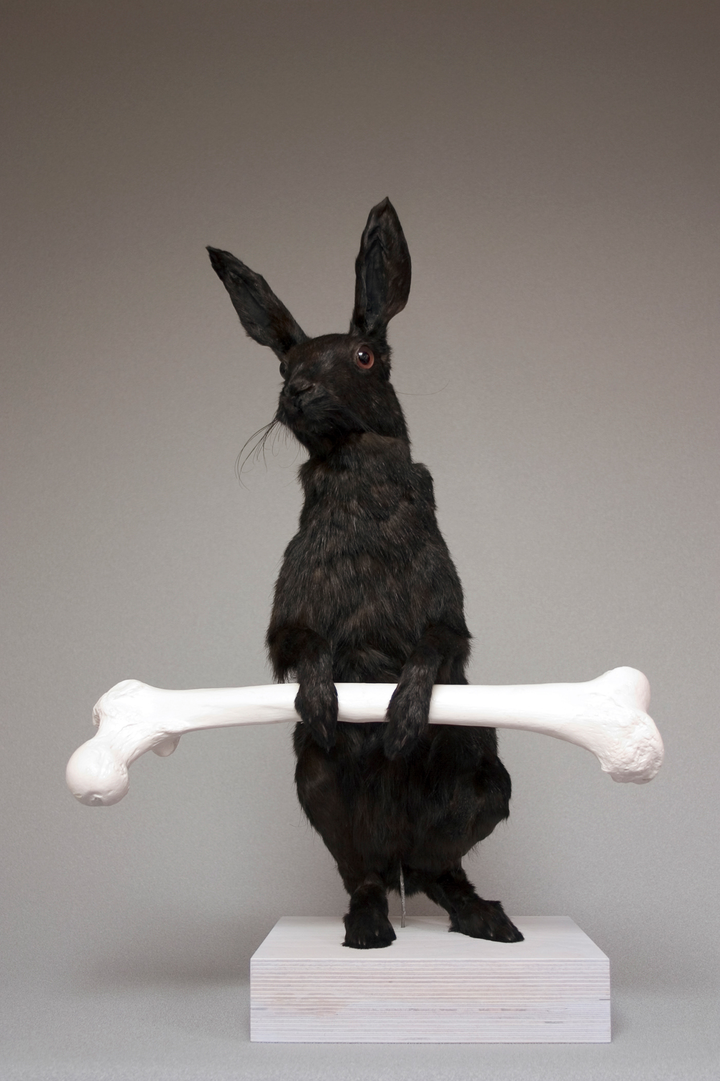 Black Hare. Fur, wood and synthetic resin, 60 x 42 x 28 cm.