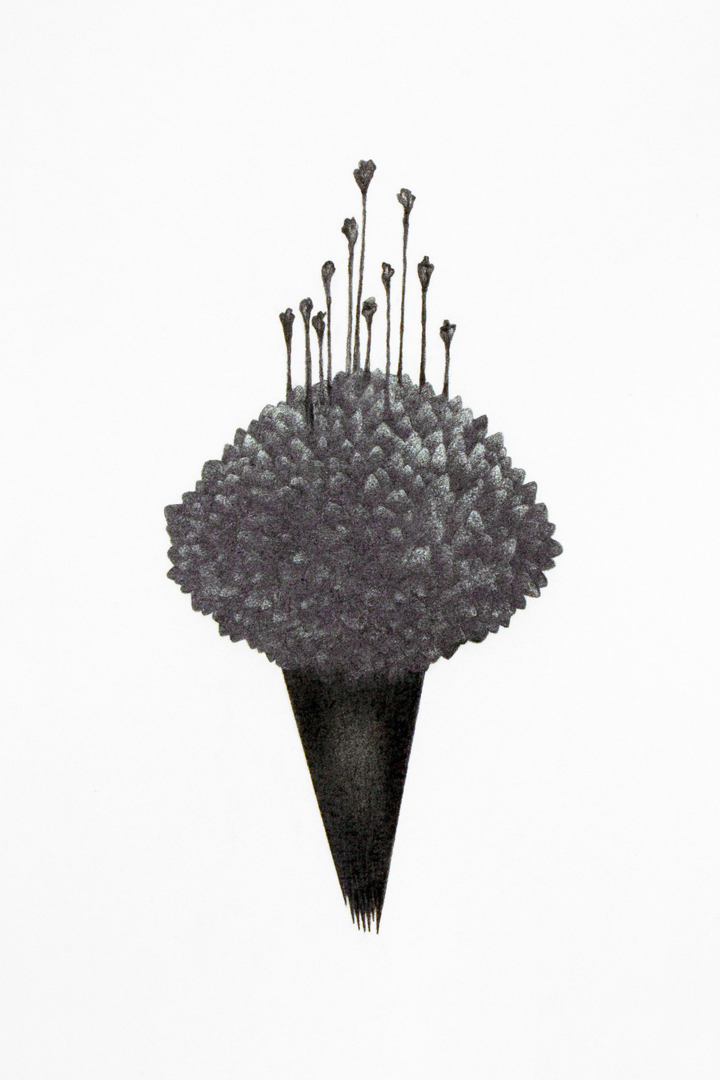 Levitation 9, graphite on paper, 30 x 21 cm.