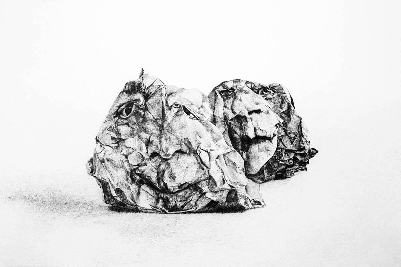 Double Face, graphite on paper, 30 x 40 cm.