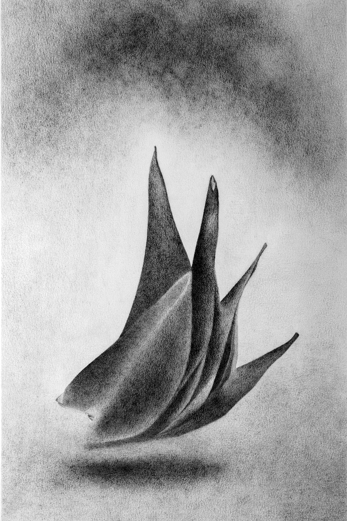 Levitation 2, Graphite on paper, 42 x 28 cm.