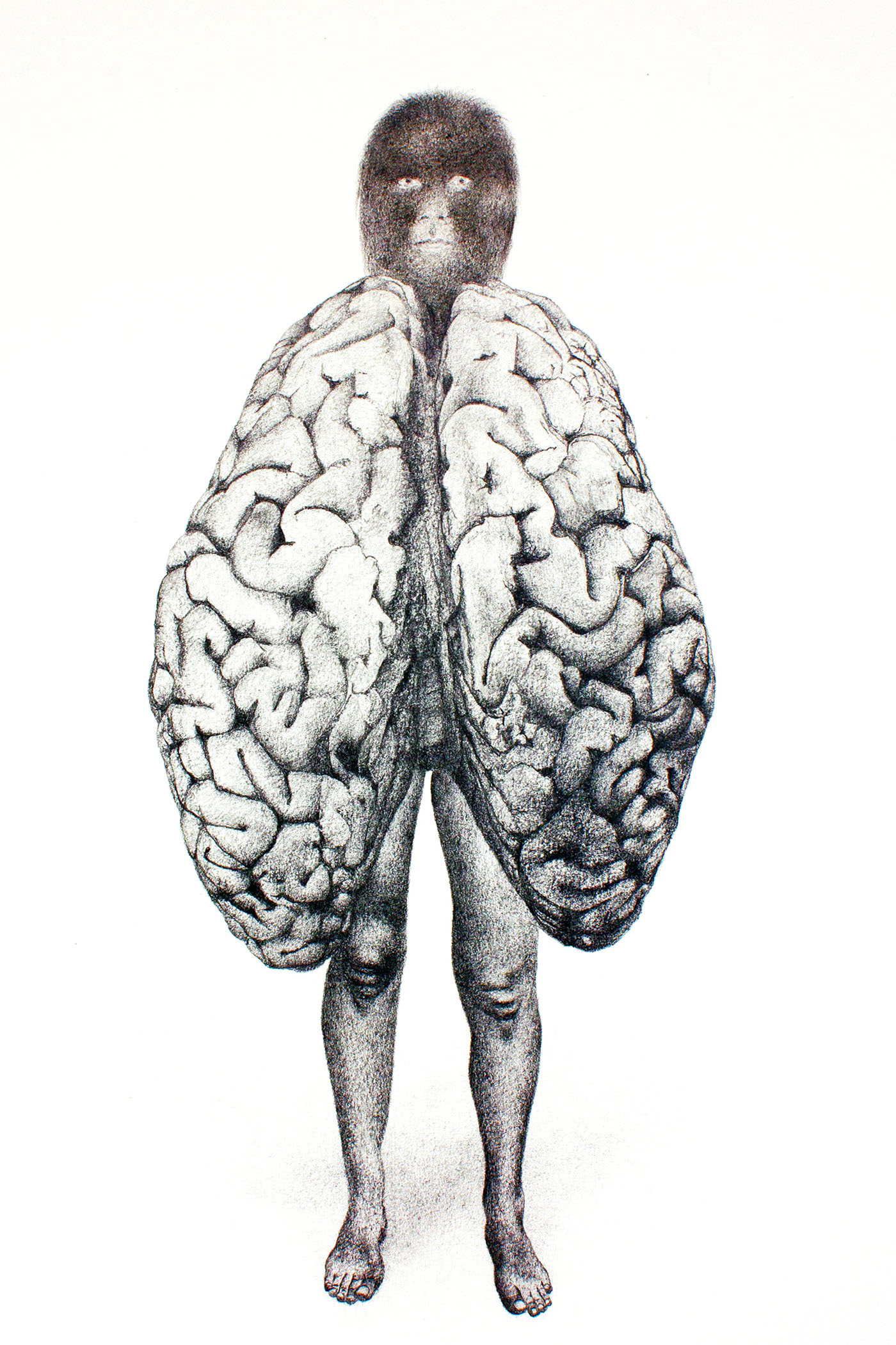 The Evolution of the Self, graphite on paper, 40 x 30 cm.