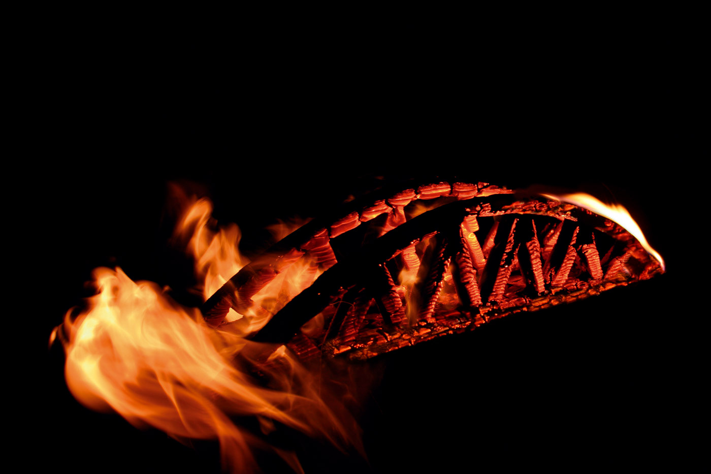 Bridge. Photograph, 40 x 60 cm.