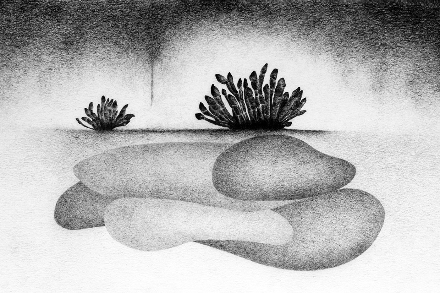 Imaginarium 5. Graphite on paper, 28 x 42 cm.
