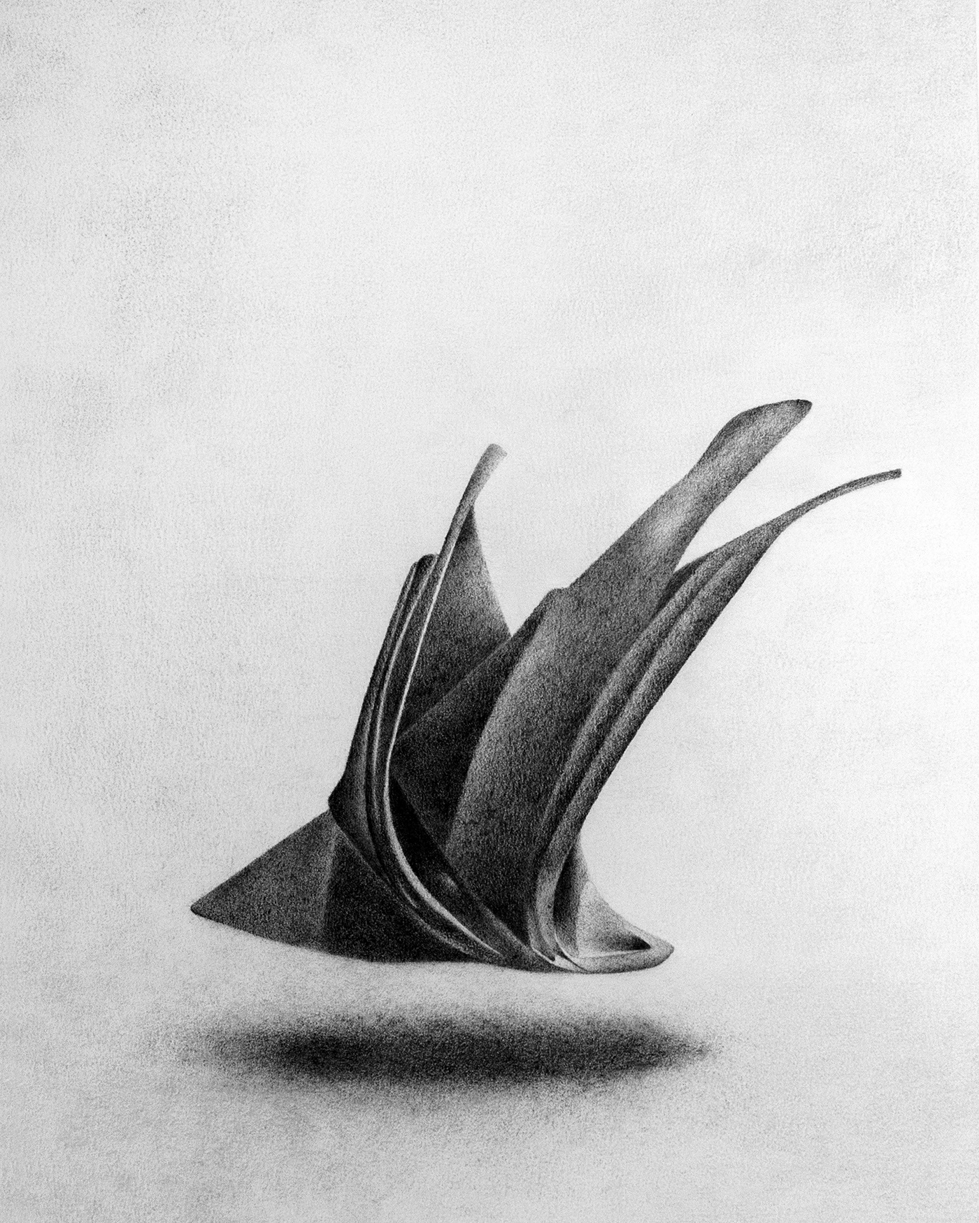 Levitation 3, Graphite on paper, 36 x 28 cm.