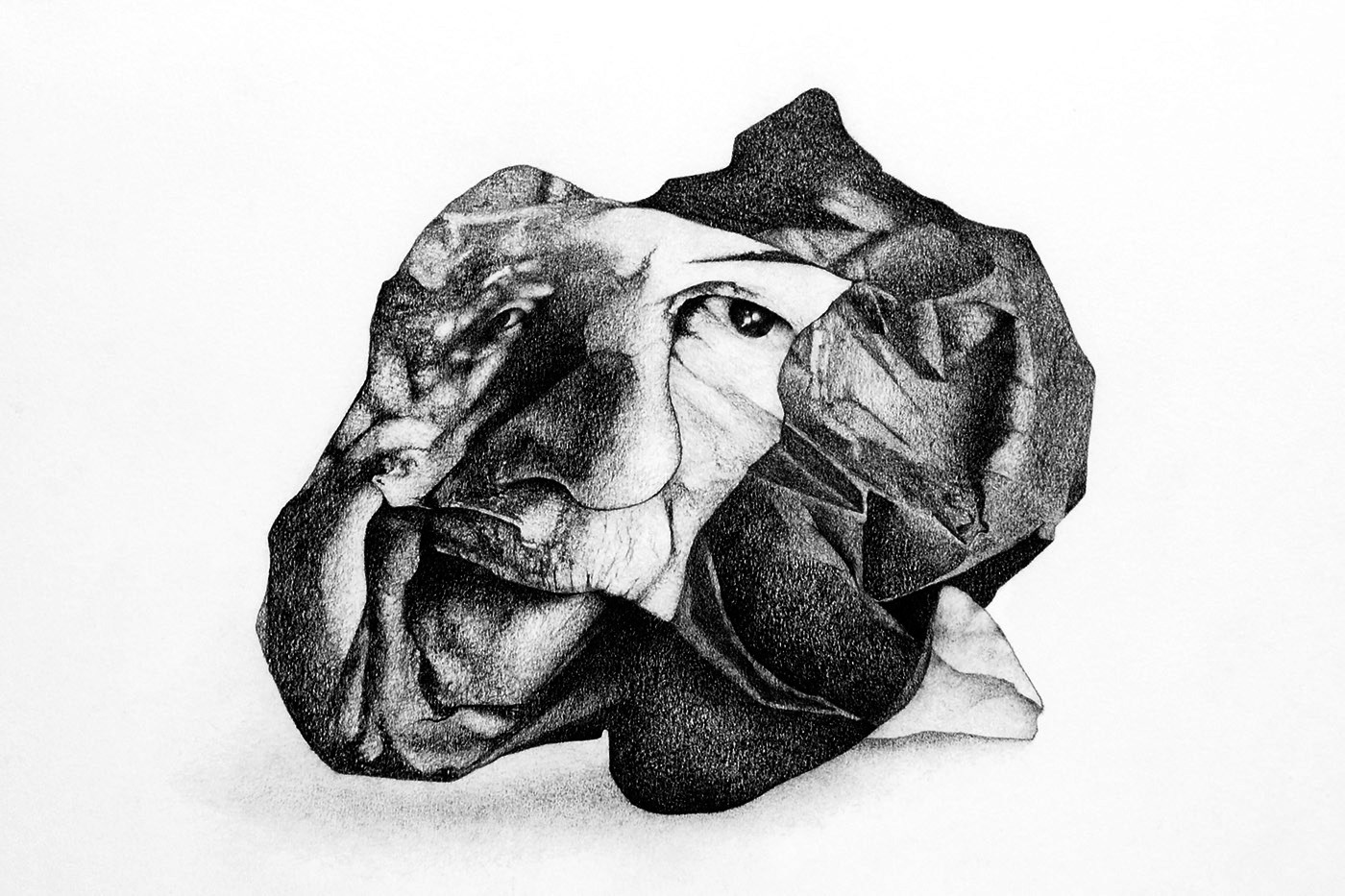 Face 5. Graphite on paper, 30 x 40 cm.