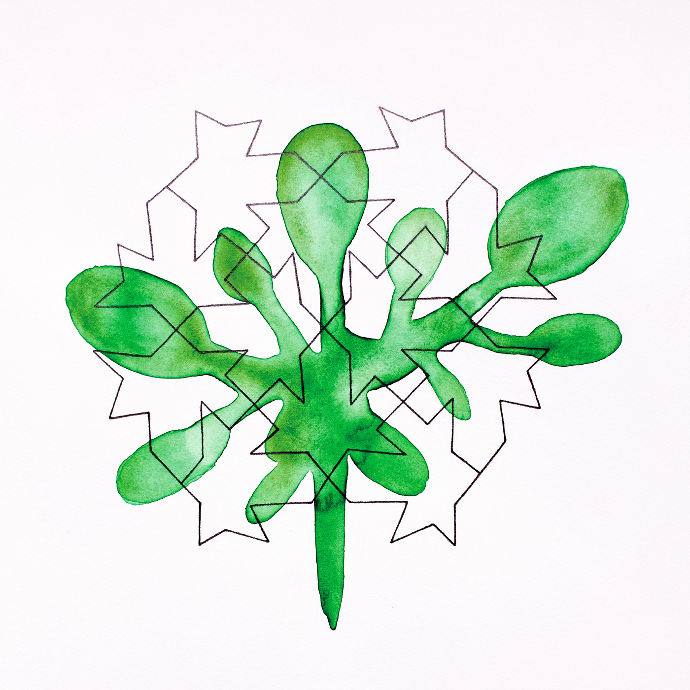 Pattern 1. Aquarelle and coloured pencil on paper, 35 x 35 cm.