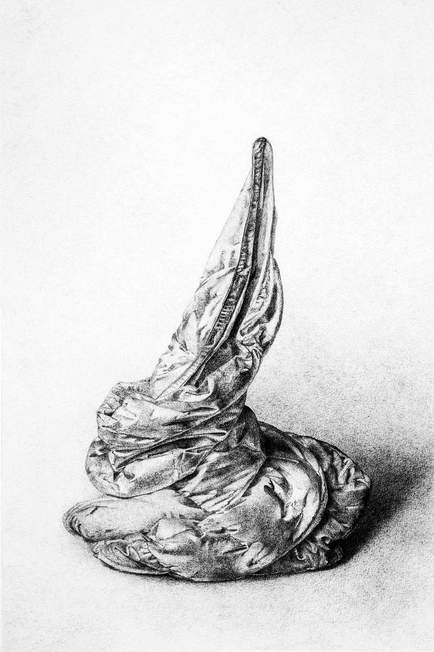 Ghost 3. Graphite on paper, 42 x 28 cm.
