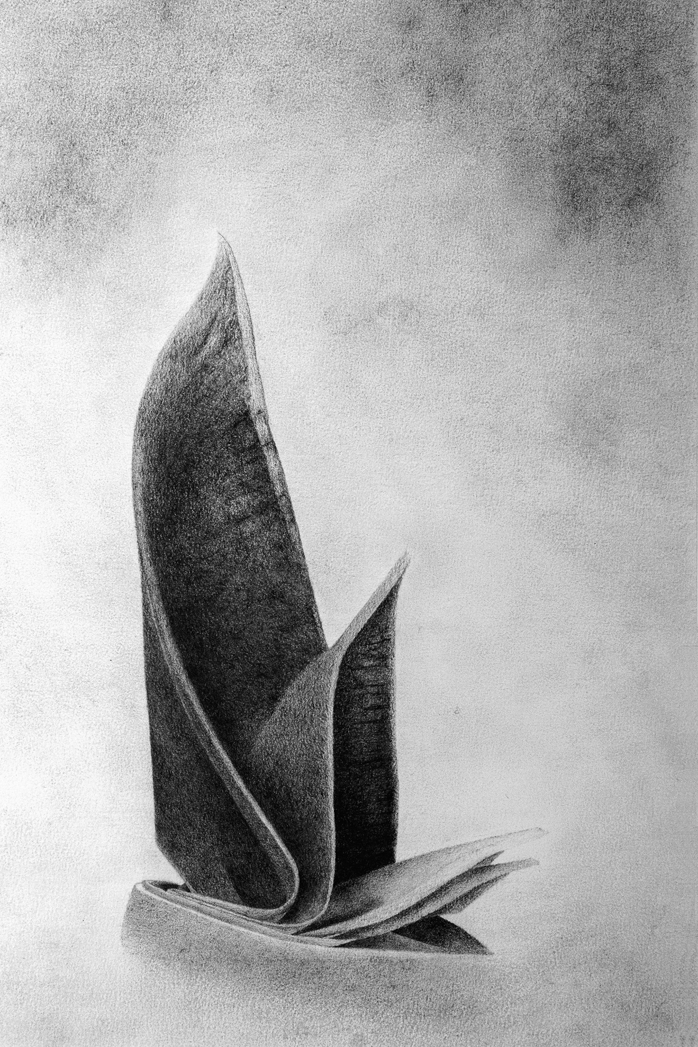 Levitation 1, Graphite on paper, 42 x 28 cm.