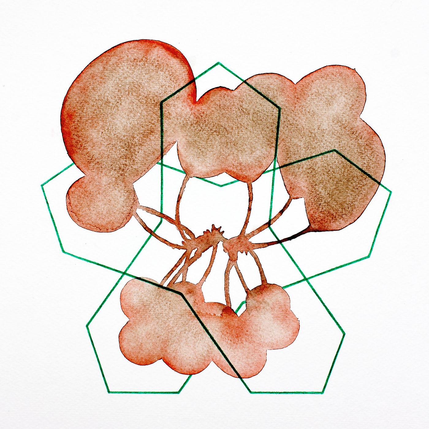 Pattern 4, aquarelle and coloured pencil on paper, 30 x 30 cm.