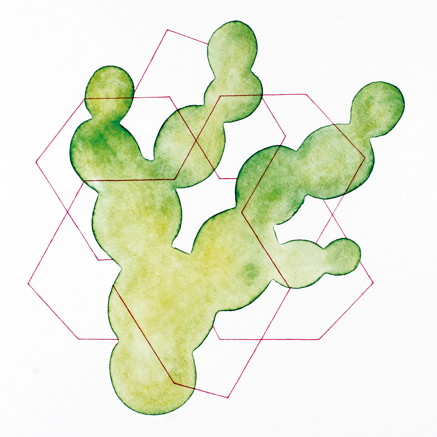 Pattern 3. Aquarelle and coloured pencil on paper, 40 x 40 cm.