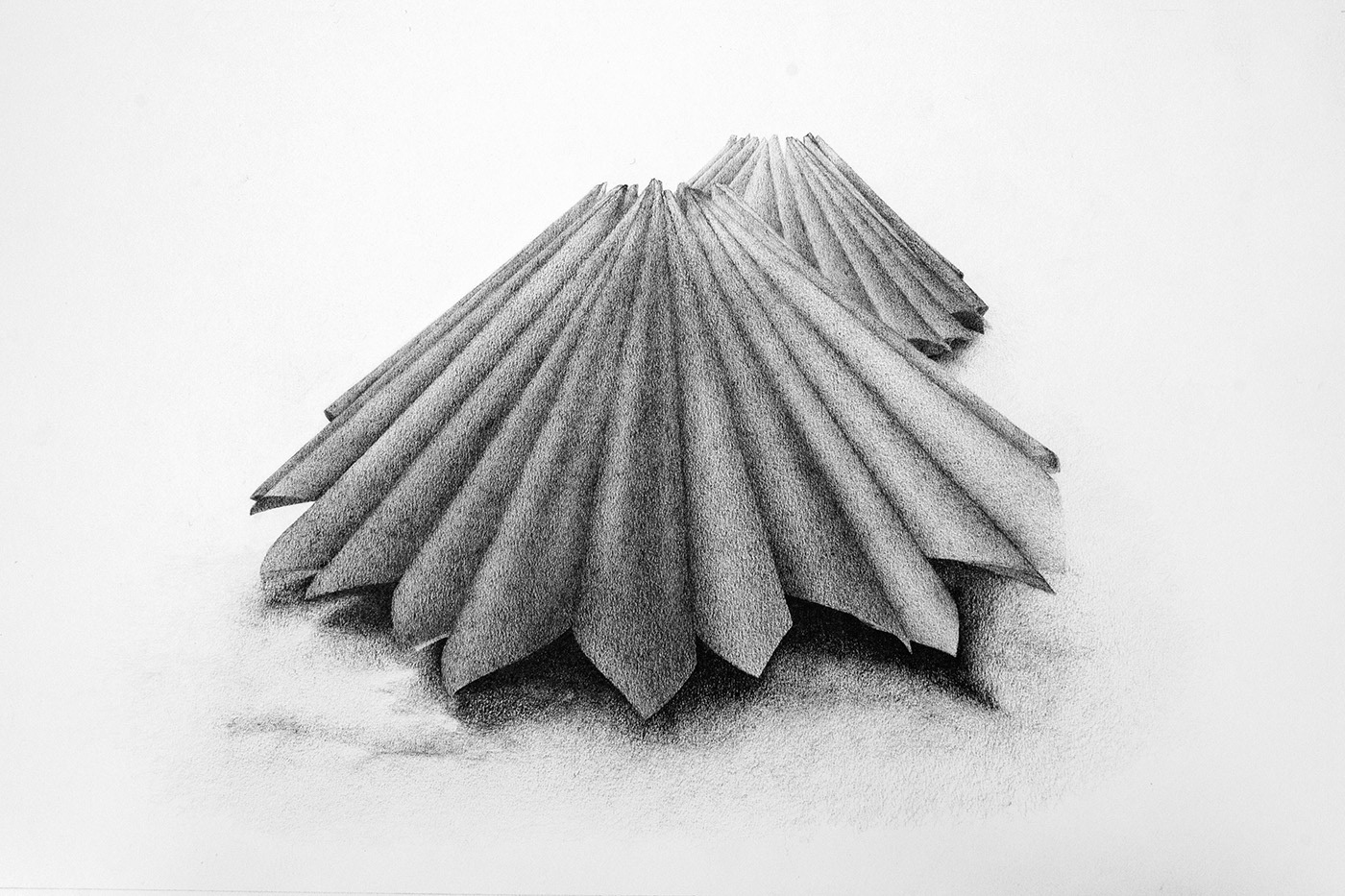 Before the Feast 1. Graphite on paper, 30 x 40 cm.