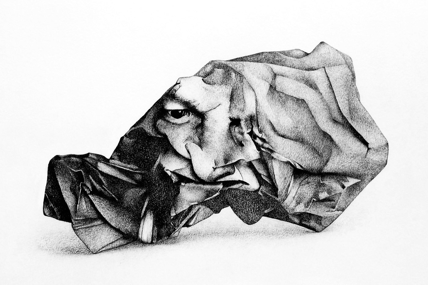 Face 2, graphite on paper, 30 x 40 cm.