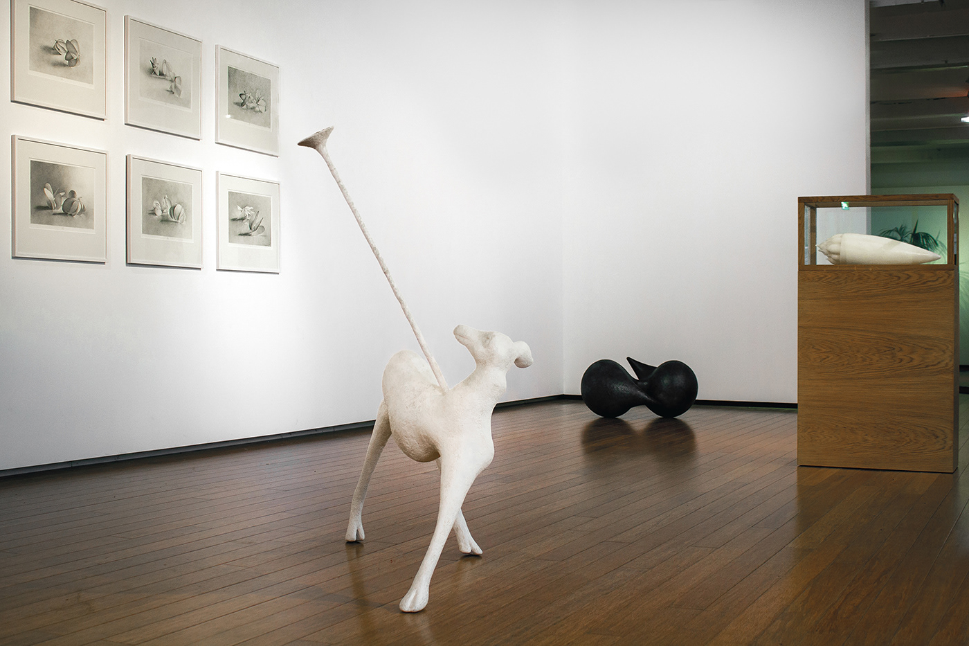Solo exhibition "SHAPE-SHIFTERS" at Artcentre Kadmium, Delft. 