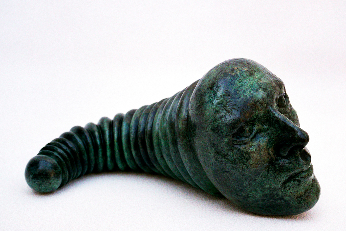 Wormhead. Bronze, 19 x 12 x 33 cm.
