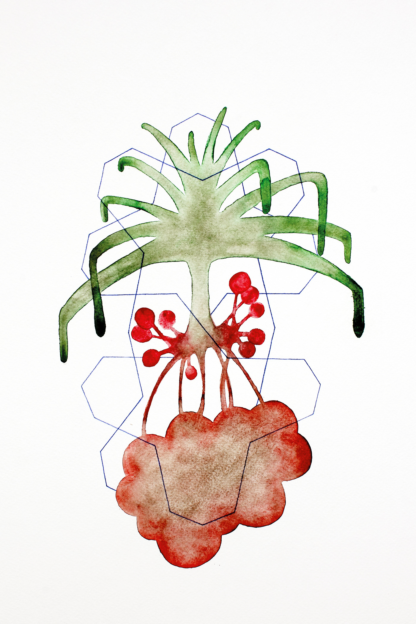 Pattern 6. Aquarelle and coloured pencil on paper, 40 x 30 cm.