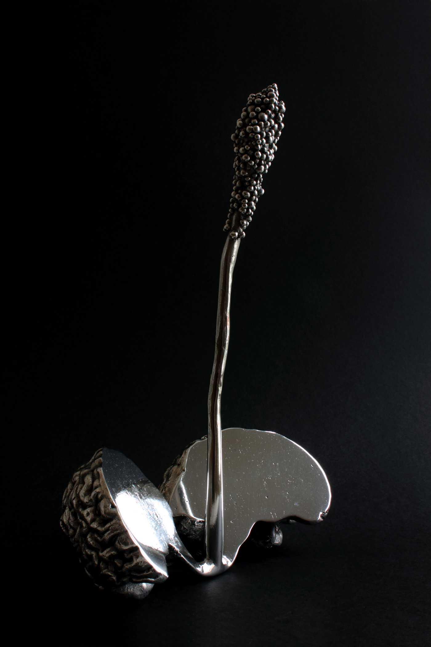 The Mirror. Aluminium, 36 x 25 x 22 cm.