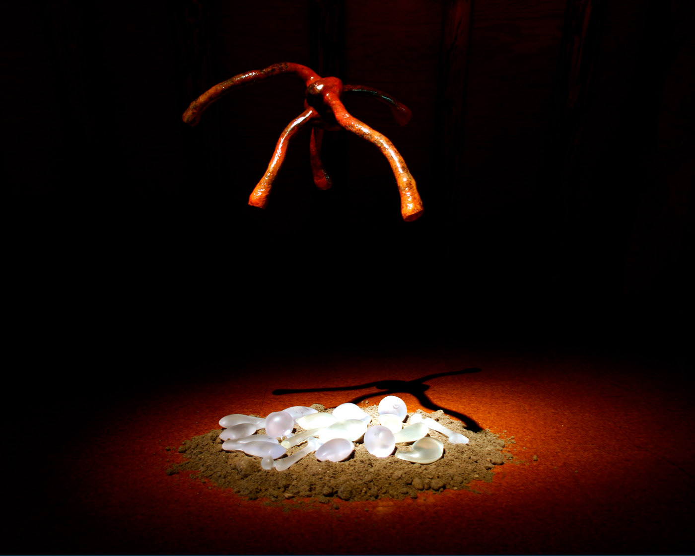 Exhibition in Rhoon Castle.