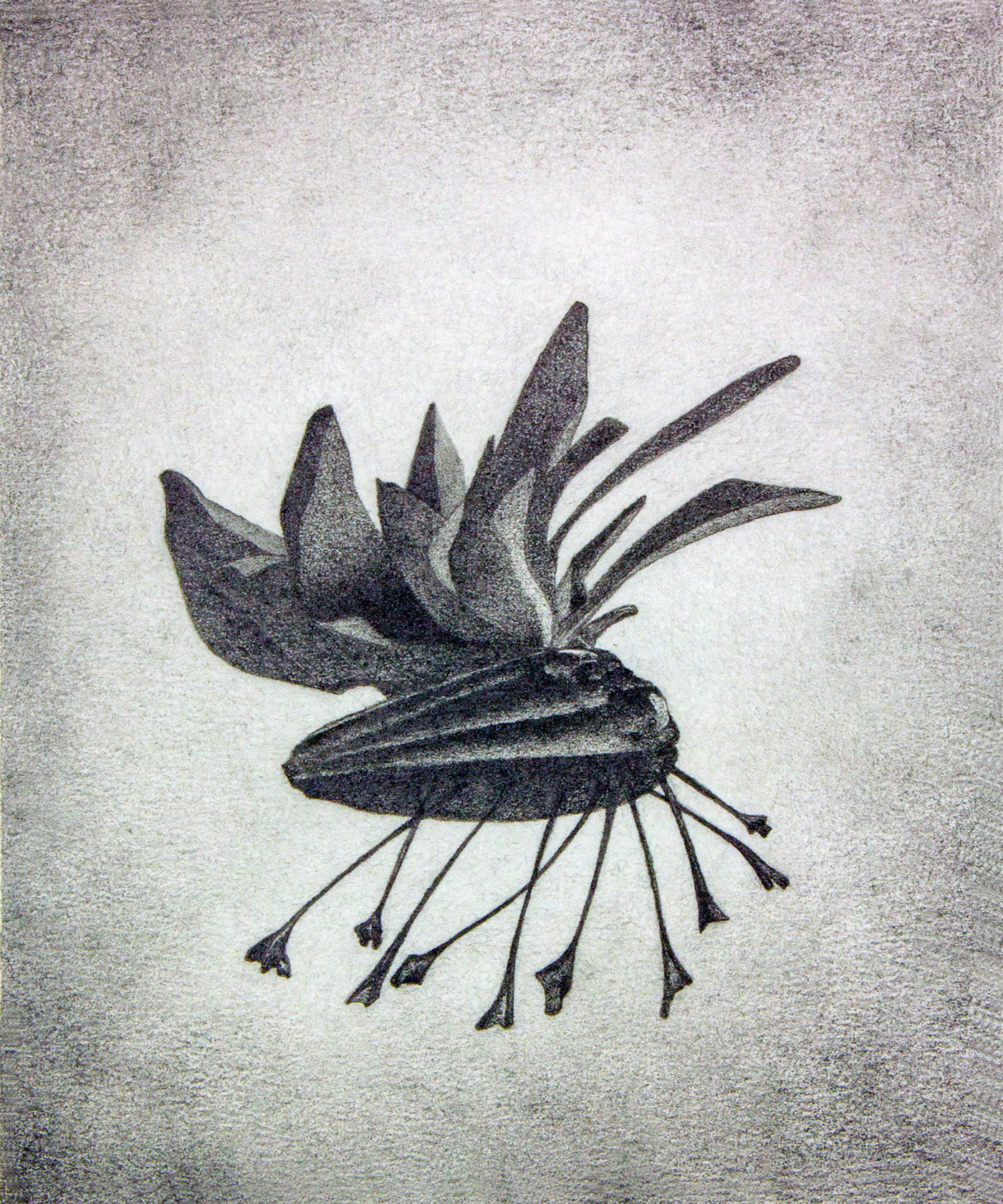 Levitation 6, graphite on paper, 17 x 14 cm.
