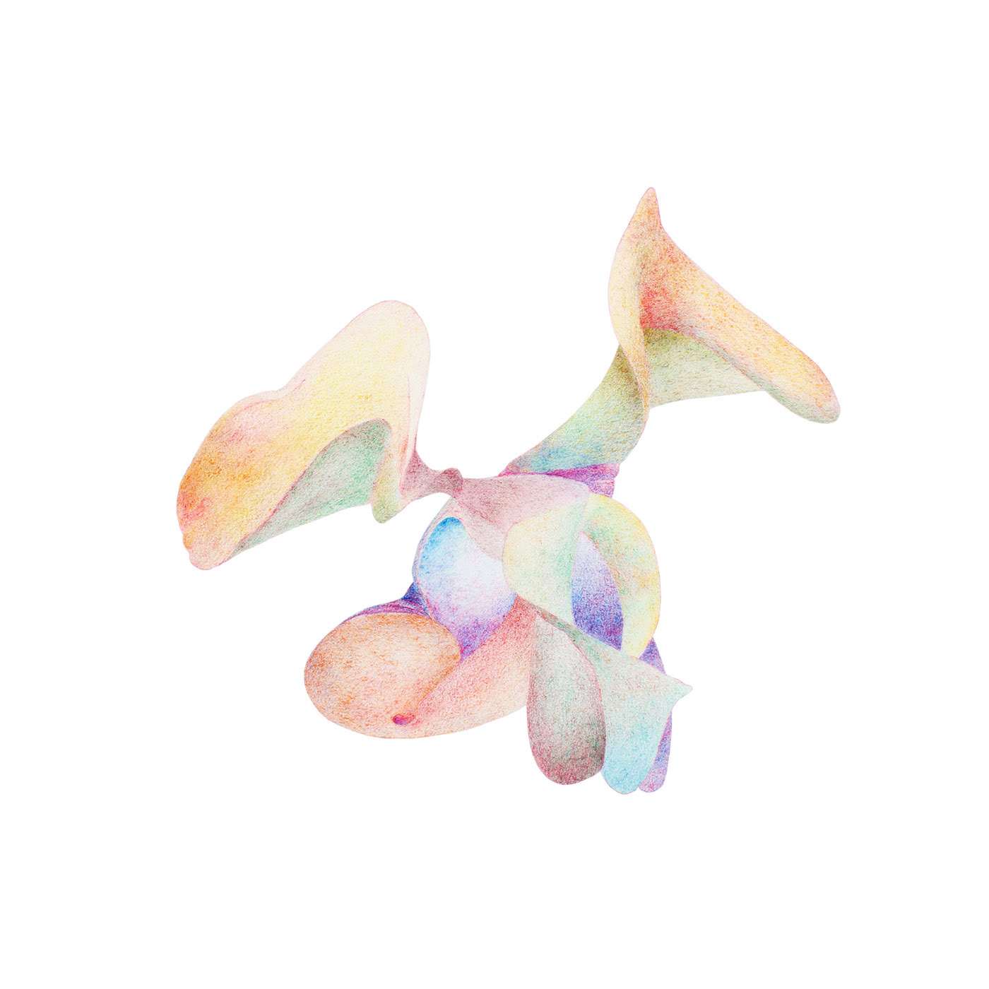 Into Colour and Motion 3, coloured pencil and paper, 35 x 35 cm.