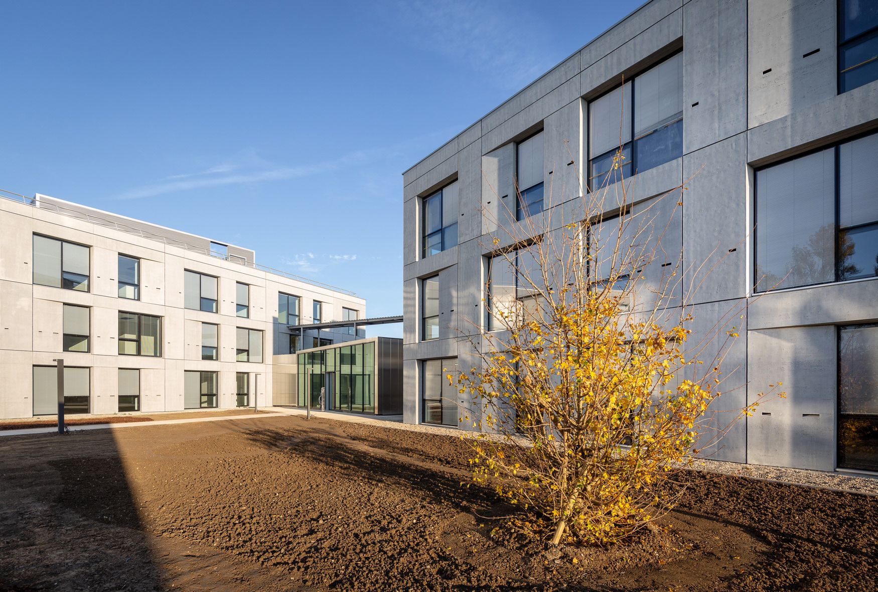 Illkirch - Alcatel - Angle Nord-Ouest | Vue SSO