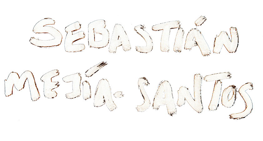 Sebastian Mejía Santos