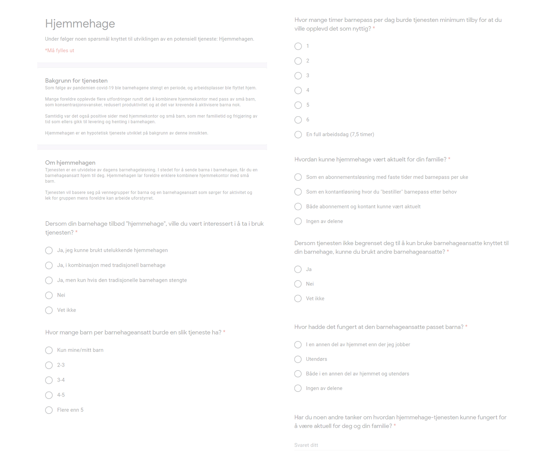 Skjermbilde av intervjuguide
