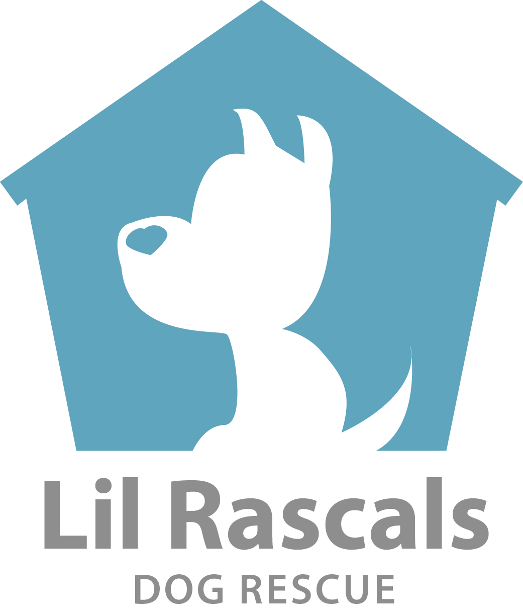 lil rascals dog rescue