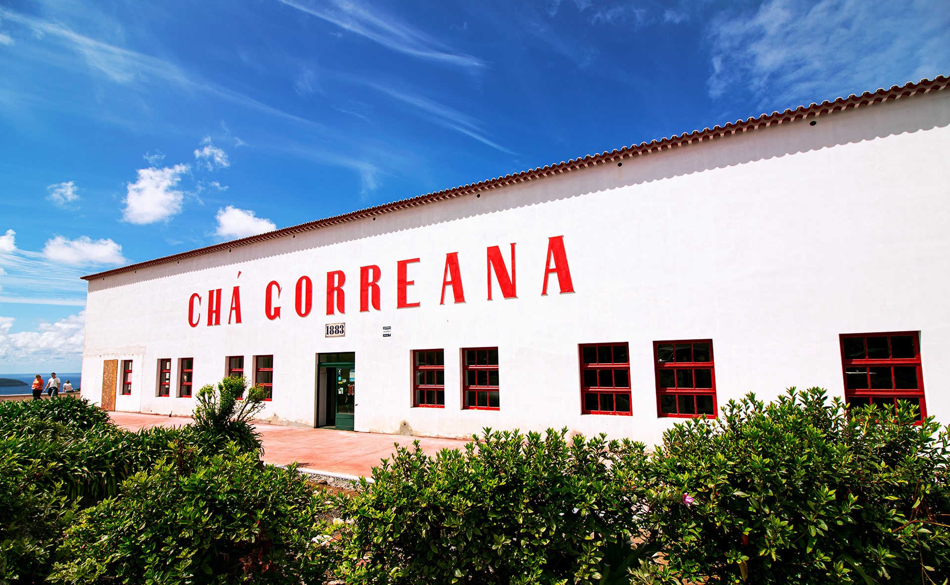 Cha Goreana tea factory