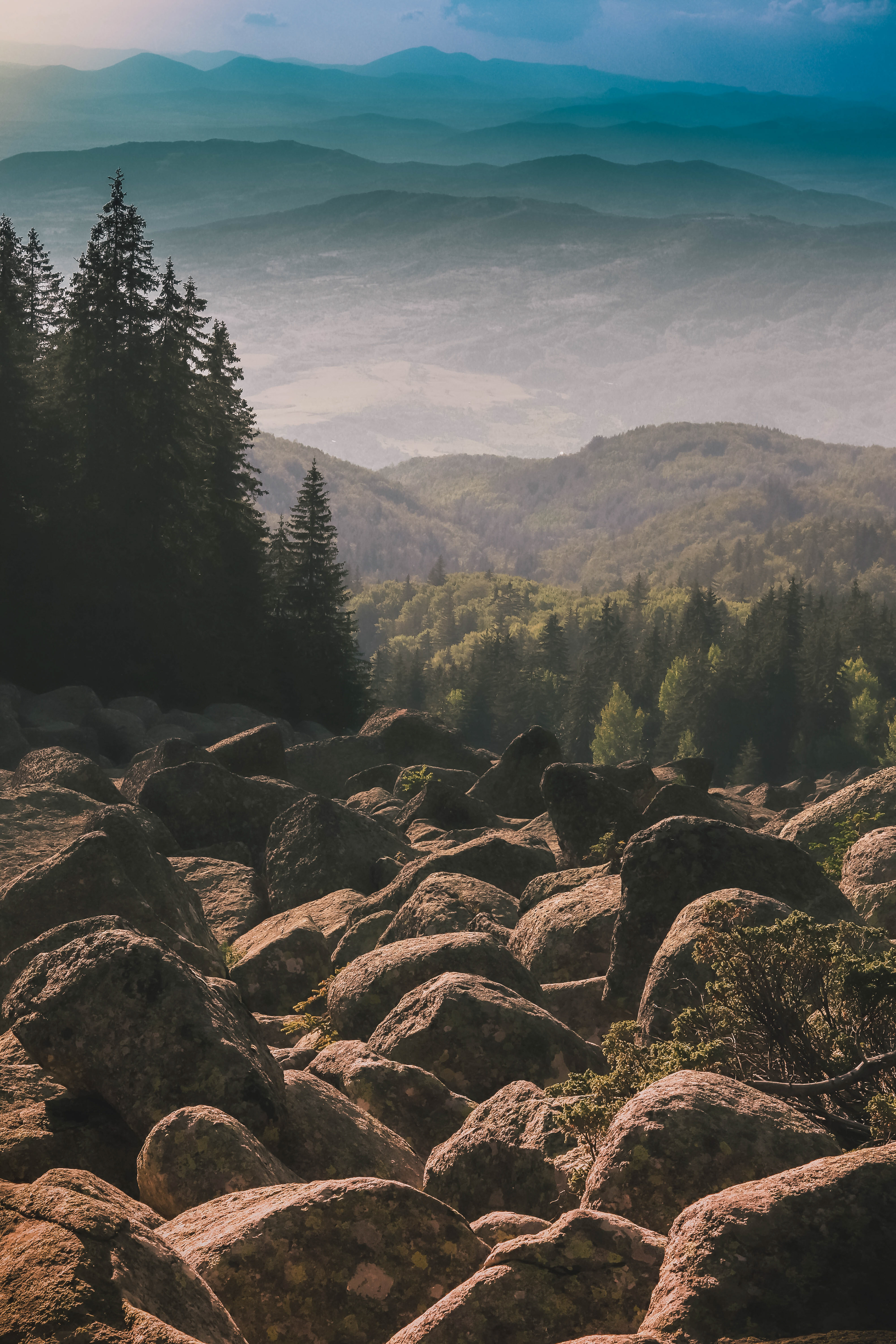 Витоша (Vitosha)